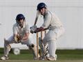 Robert batting.jpg